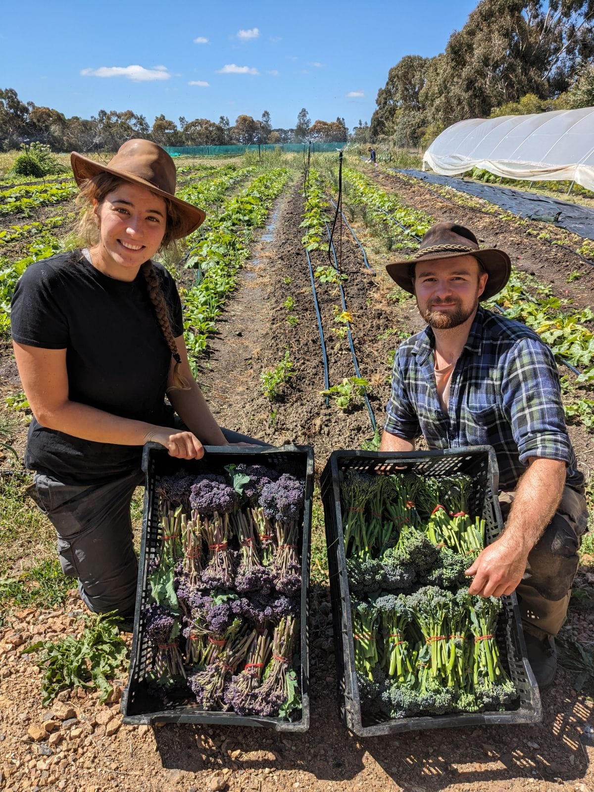 Tristan and Valentina with two crates of tenderstem